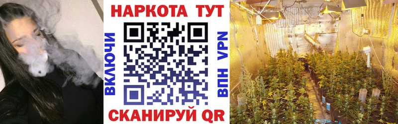 Купить Кингисепп A-PVP  АМФЕТАМИН  Конопля  Гашиш 