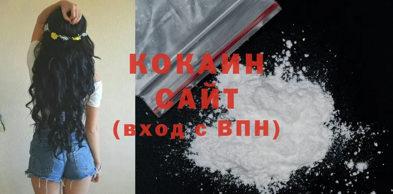 где купить наркоту  Кингисепп  блэк спрут зеркало  Cocaine Эквадор 