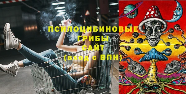 крисы Медногорск