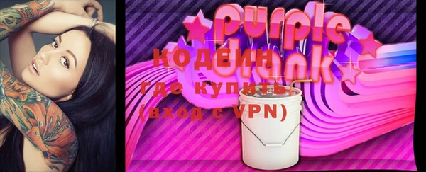 хмурый Ельня