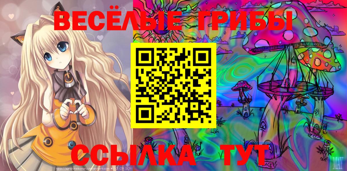 Галлюциногенные грибы ЛСД  Галлюциногенные грибы Psilocybe  Кингисепп  Вход с VPN 