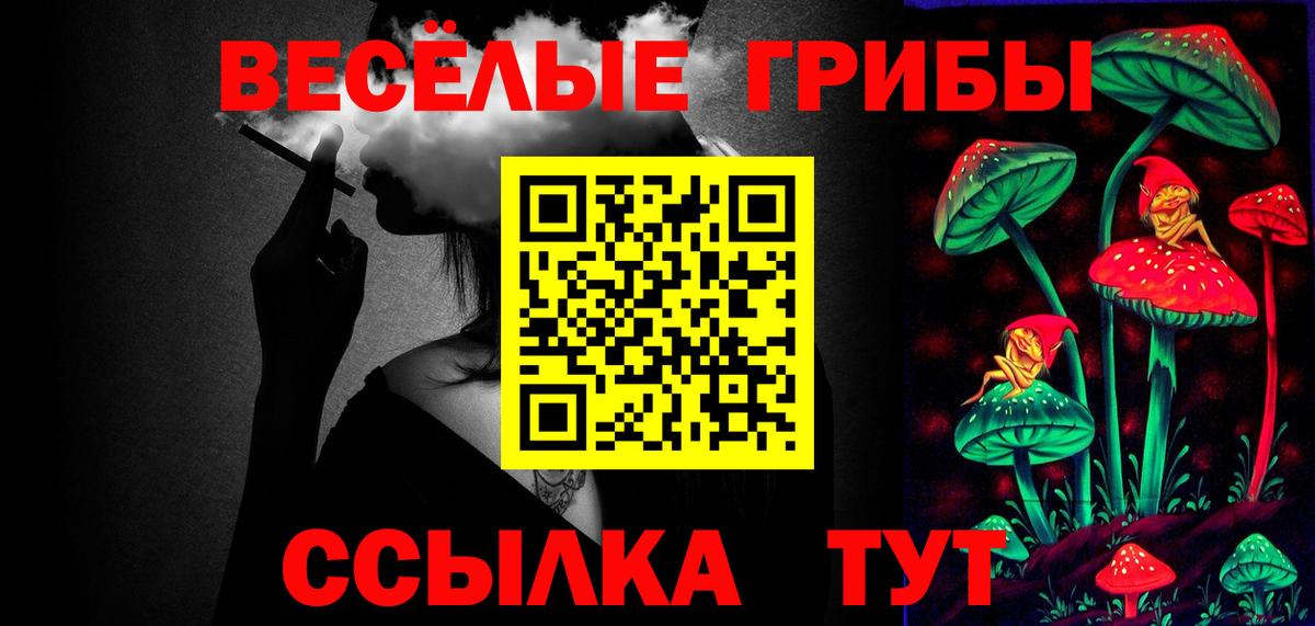 Псилоцибиновые грибы Psilocybine cubensis Кингисепп