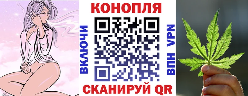 Бошки марихуана сатива  купить  цена  Кингисепп 